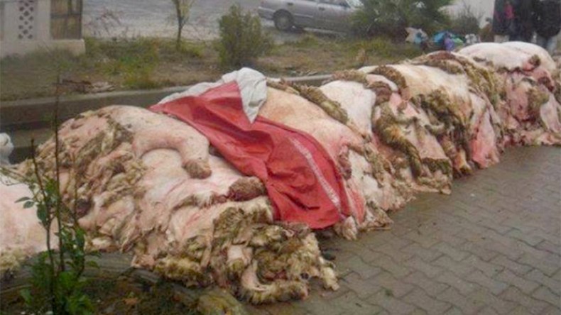 وزارة الصناعة تطلق حملة تحسيسية لجمع جلود أضاحي العيد