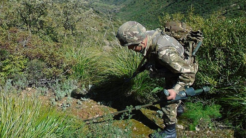 هلاك عسكريين وجرح 8 مدنيين في حادثين بسكيكدة