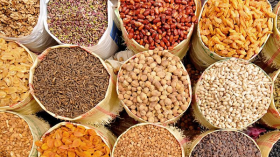 توقع إنتاج أزيد من 440 ألف قنطار من الحبوب بالجلفة