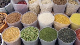 جمع أكثر من 160 ألف قنطار من الحبوب بالمسيلة