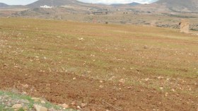 لـ “العنابرة”..حدود!