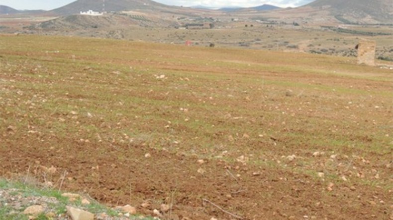 لـ “العنابرة”..حدود!