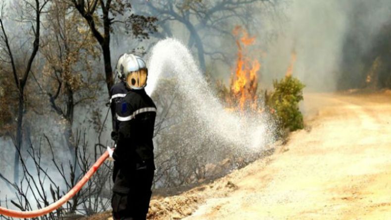 أكثر من 15 هكتارا من الغابات والحشائش تلتهمها الحرائق بالبويرة