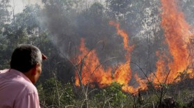 مديرية الغابات تنفي افتعال الحرائق