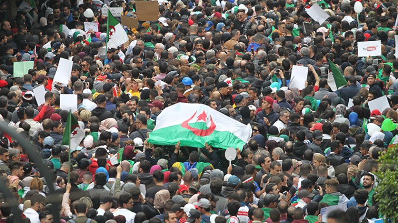 طاردوا الباندية!