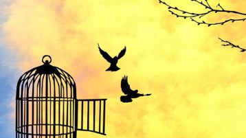 مكسبُ الحرّية مقدّمٌ على تطبيق الشريعة