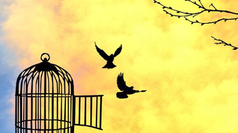 مكسبُ الحرّية مقدّمٌ على تطبيق الشريعة