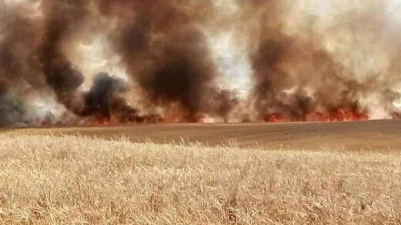 حريق يلتهم 7 هكتارات من القمح الصلب بالبويرة