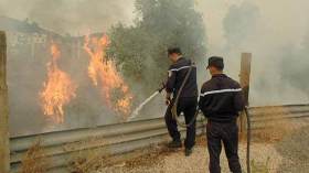 4 هكتارات من “البلوط” حصيلة حريق بحيزر