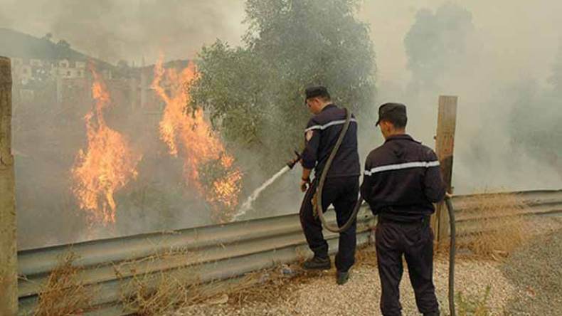 النيران تلتهم 40 هكتارا من القمح ببرج بوعريريج