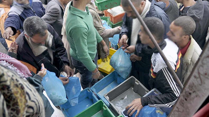 عليوي ينتقد عجز وزارة الفلاحة عن حل أزمة الحليب