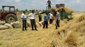 أزمة تخزين الحبوب ترغم الفلاحين على المبيت في العراء بسطيف