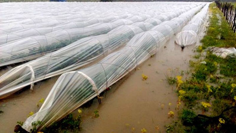 تضامنا مع الفلاح…