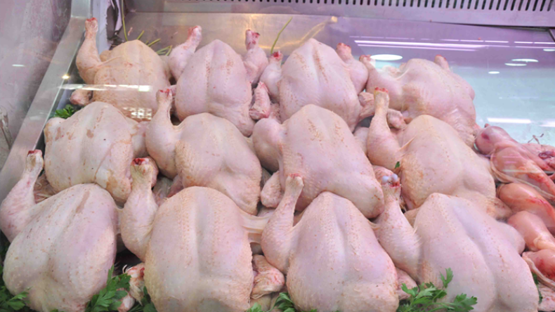 رخص الإستيراد ستشعل أسعار الدجاج في رمضان
