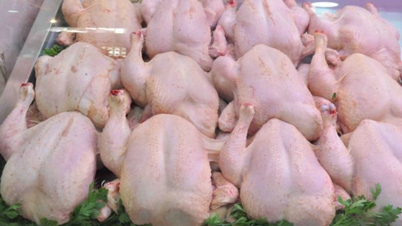 استيراد الدجاج المجمد.. وزارة الفلاحة تقرر