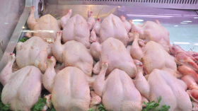 انخفاض تاريخي لأسعار اللحوم البيضاء