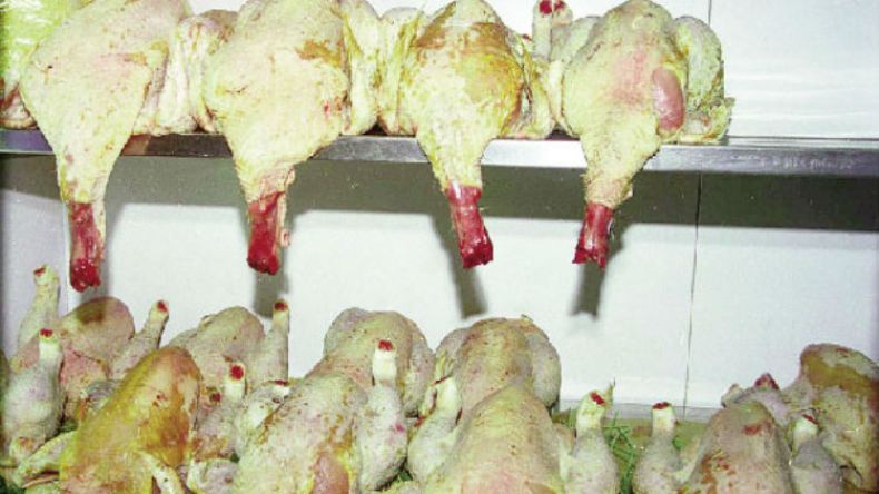 حجز قرابة 6 قناطير من الدجاج الفاسد في عين الحجل بالمسيلة