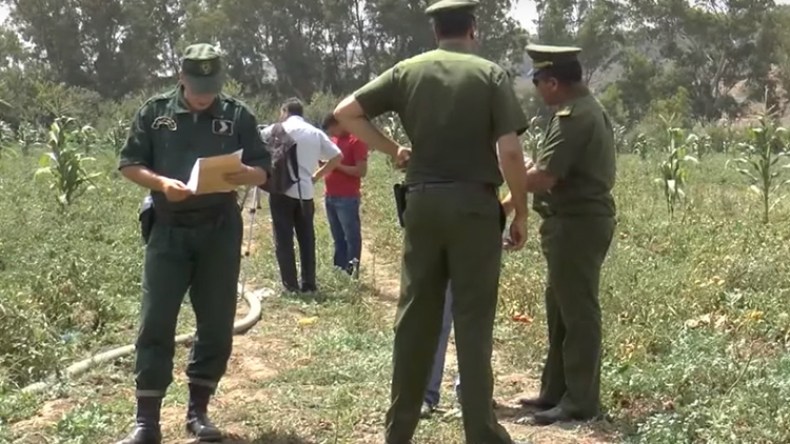 جرحى في مواجهات عشائرية بسوق اهراس