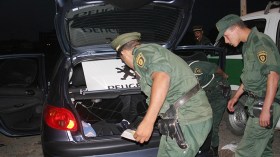 توقيف 256 شخص وحجز مخدرات