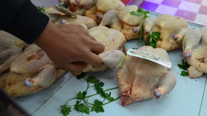 هل يعود سيناريو انهيار أسعار الدواجن من جديد؟