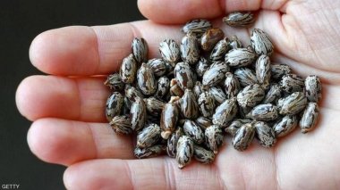 محاولة تسميم الرئيس التونسي تثير الحديث عن مادة “الريسين”