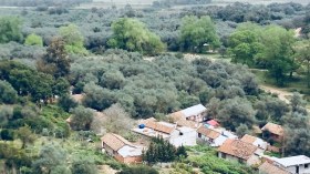 جزائريون ينزحون إلى الريف هربا من كورونا