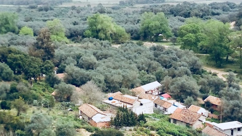 جزائريون ينزحون إلى الريف هربا من كورونا