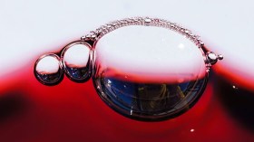 مراهقون في رحلات بحث عن الزئبق الأحمر