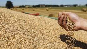 الجزائر تخلق أزمة زراعية في فرنسا