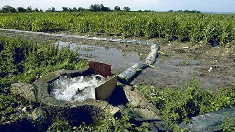 السقي بالمياه القذرة يسبب أمراضا هرمونية وسرطانية