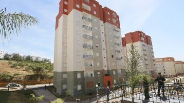 الحلّ في ترك الحيّل!                            