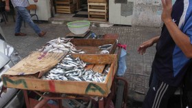 بيع أسماك في ظروف غير صحية بالبويرة