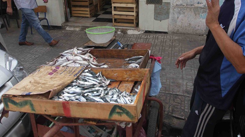 بيع أسماك في ظروف غير صحية بالبويرة