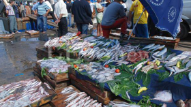 بائعو سمك يهددون بالإضراب عن الطعام والانتحار الجماعي بالعاصمة