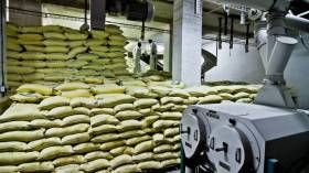 خطة استعجالية لإنهاء ندرة السميد