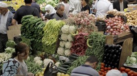 استهتار واستهانة بخطر كورونا في تيبازة