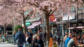 العالم لا يزال بعيداً عن “مناعة القطيع” لهذا السبب