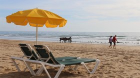 “جاهزون لإستقبال 110 آلاف جزائري في مخيمات 2018 بأسعار تنافسية”!