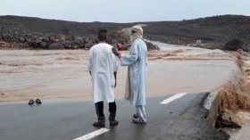 السيول الأخيرة تحسن من وضعية المراعي بإيليزي