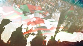 الثورات الشعبية بين الانتصارات والانكسارات