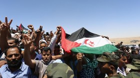 ميلاد مجموعة الدفاع عن حق الشعب الصحراوي في تقرير المصير