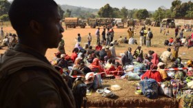 الجزائر داعم للبلدان المضطهدة في العالم