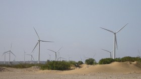 تنديد صحراوي بمشروع أمريكي في الأراضي المحتلة