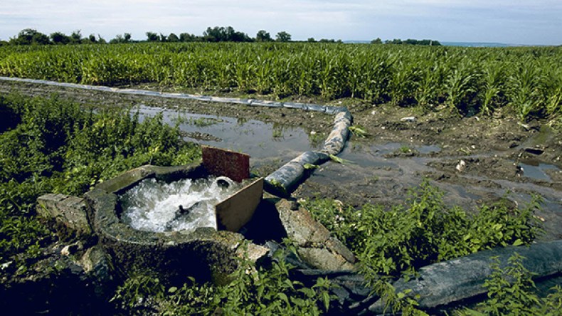 مياه بروائح الصرف الصحي في موزاية بالبليدة