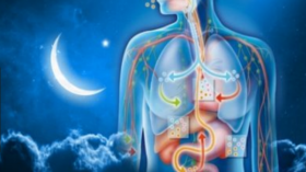 ماذا يحدث للجسم أثناء الصيام في شهر رمضان؟