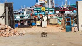 مقتل رئيس عمليات شركة موانئ مملوكة لدبي في الصومال