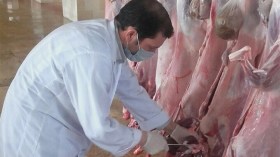 15 ألف طبيب بيطري لفحص الأضاحي يومي العيد