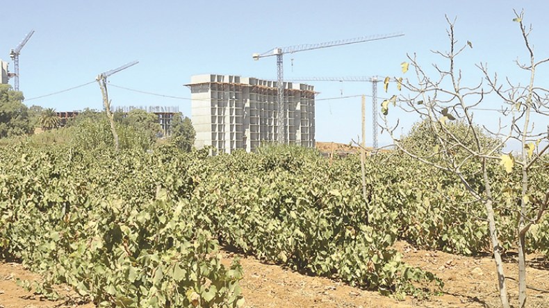 المناطق الصناعية تلتهم 3300 هكتار من الأراضي الفلاحية عبر 9 ولايات!