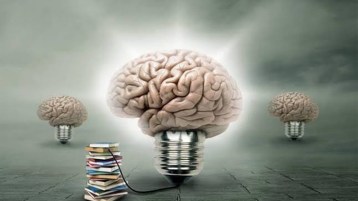 طريق العلم والعقل… أفضل البدائل لنا جميعا!