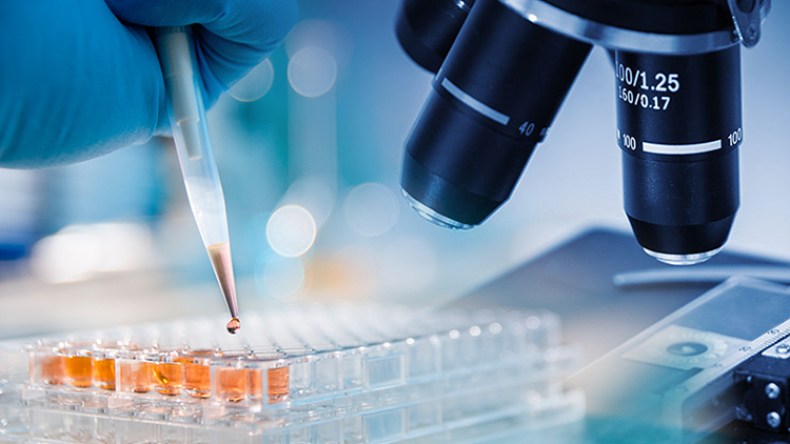 تقدم المسلمين بين الوحي والعلوم التجريبية